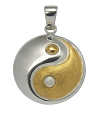 Yin-Yang Amulett Thai-chi    Schutzamulett Schmuck Jing Jang Jin Jan Anhänger Kräfte des * Universums 