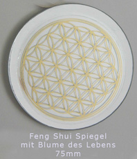   Spiegel   