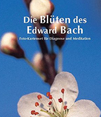  9783  894 167 882  Helmut Maier Die Blüten des Ewald Bach 38 Fotokarten