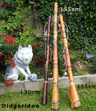     Didgeridoo  Teak  erhältlich im Kristallzentrum                                                                                                             