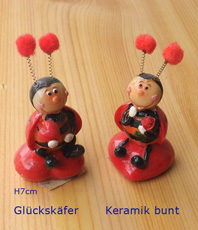   Glückskäfer 