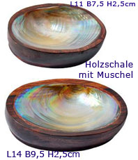  Muschel Schalen   