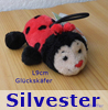    Silvester      