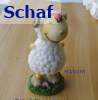    Schaf  