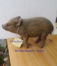     Wildschwein * 