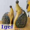   Igel   