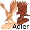     Adler Holz         feng shui