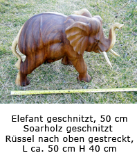 Elefant geschnitzt 50cm H40cm Soarholz  erhältlich'im'Kristallzenturm  
