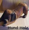    Hund      