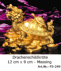 Feng Shui drachen  Schildkröte    